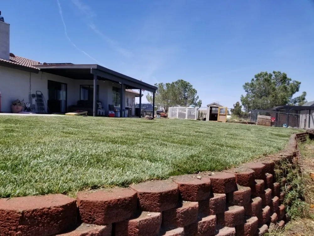 Custom yard maintenance in Victorville, CA - Mannys Landscaping and Gardening