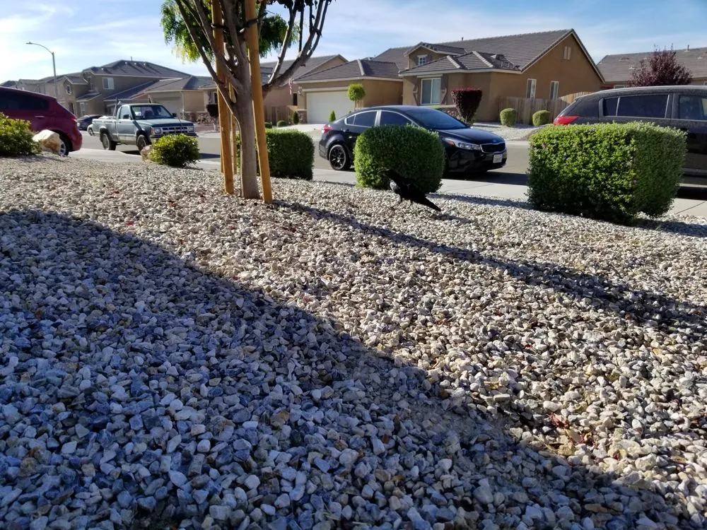 Professional lawn mowing service in Victorville, CA by Mannys Landscaping and Gardening