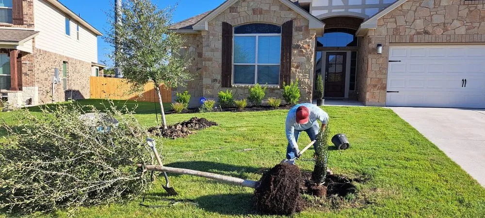 Trusted outdoor landscaping experts serving Killeen, TX - Manny's Landscaping