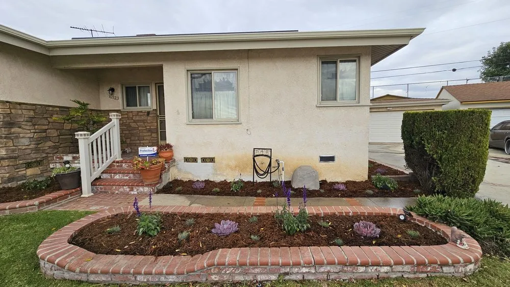 Expert yard cleanup service in Los Angeles, CA - Manny's Landscaping