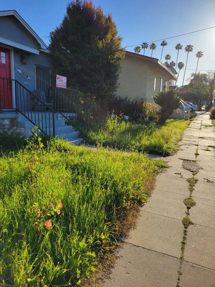 Custom yard cleanup service experts serving Los Angeles, CA - Manny's Landscaping