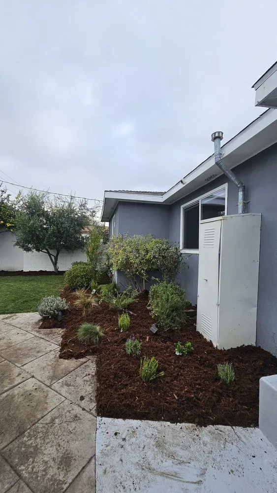 Professional yard maintenance in Los Angeles, CA - Manny's Landscaping