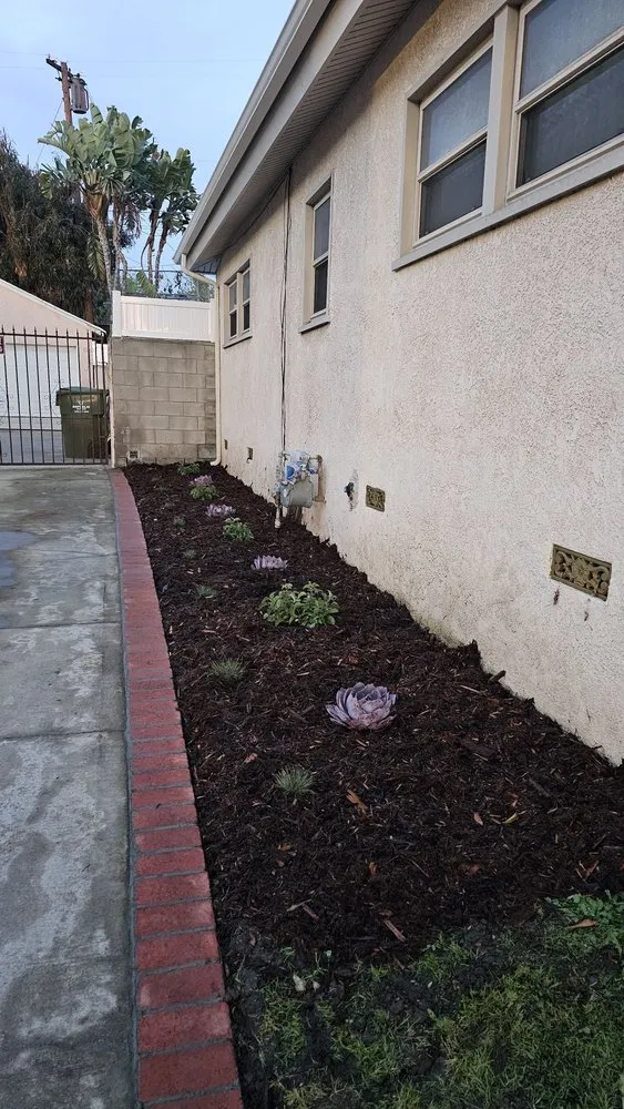 Expert yard maintenance in Los Angeles, CA - Manny's Landscaping