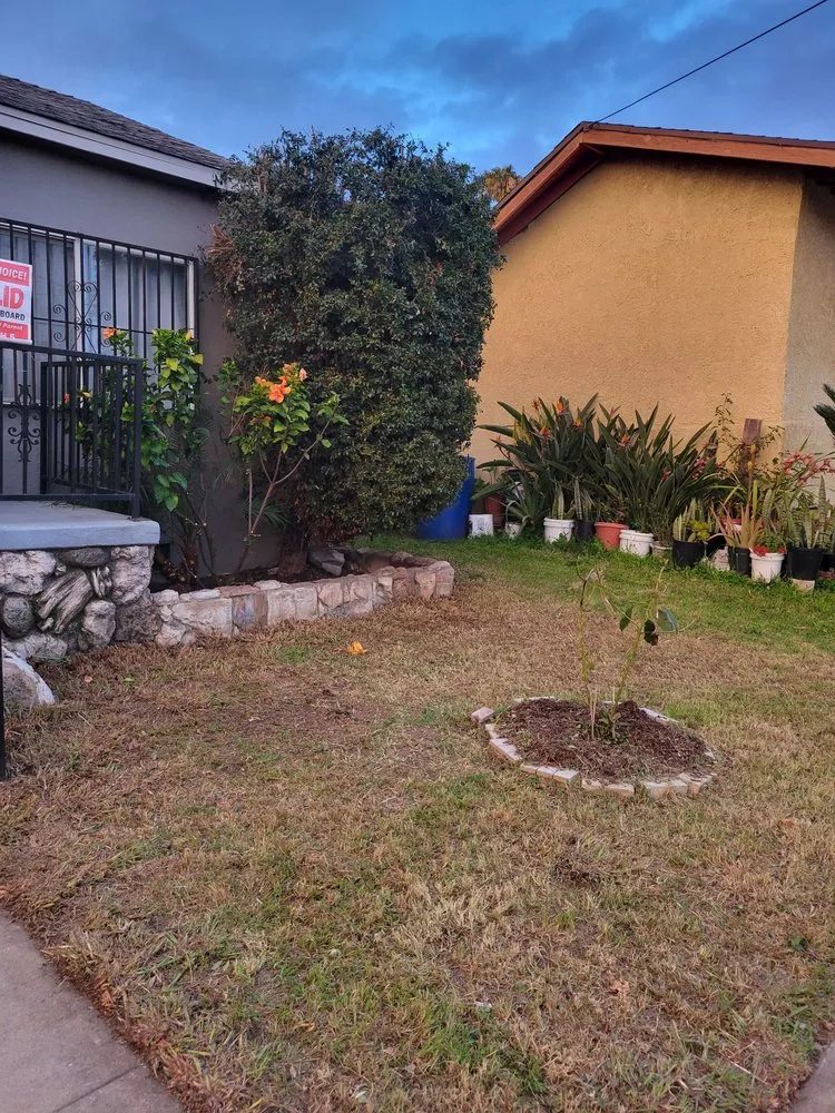 Professional yard maintenance in Los Angeles, CA - Manny's Landscaping