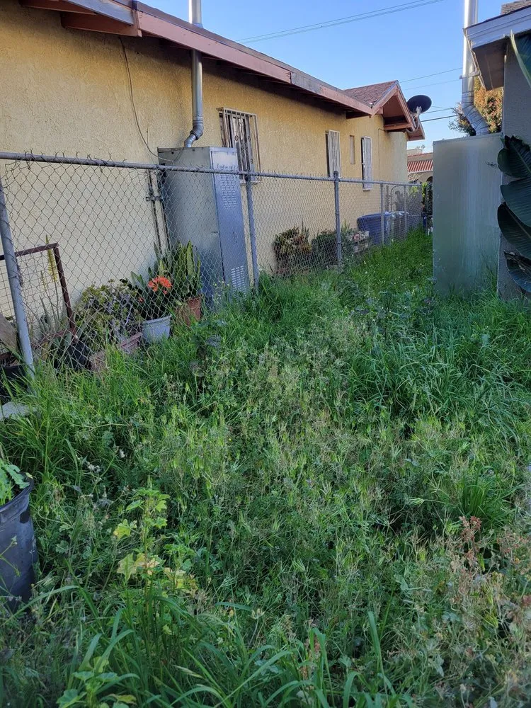 Custom garden landscaping in Los Angeles, CA by Manny's Landscaping