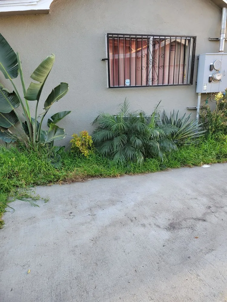 Custom landscape installation experts serving Los Angeles, CA - Manny's Landscaping