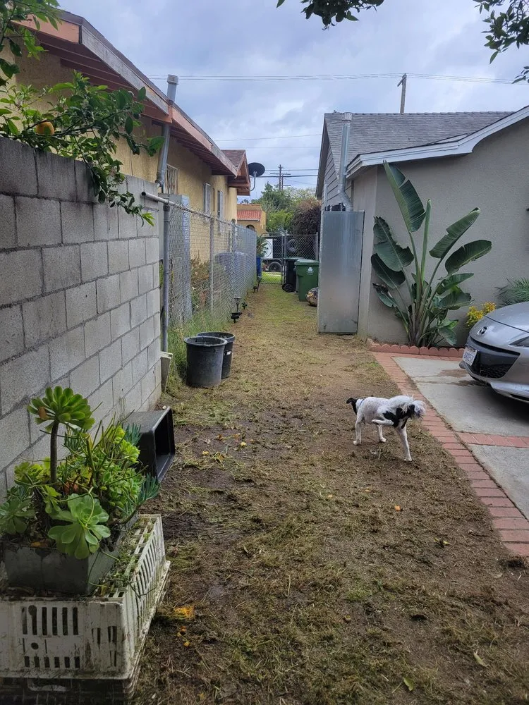 Trusted lawn mowing service for beautiful yards in Los Angeles, CA by Manny's Landscaping