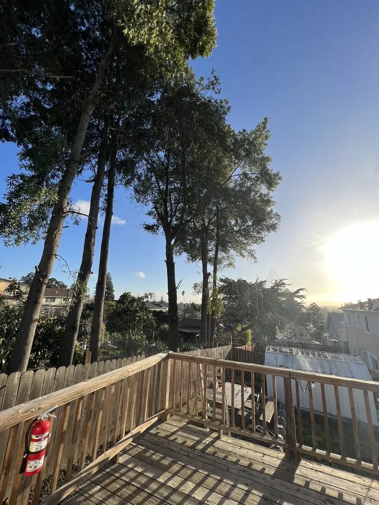 Reliable landscape installation experts serving Oakland, CA - Manny's Landscaping