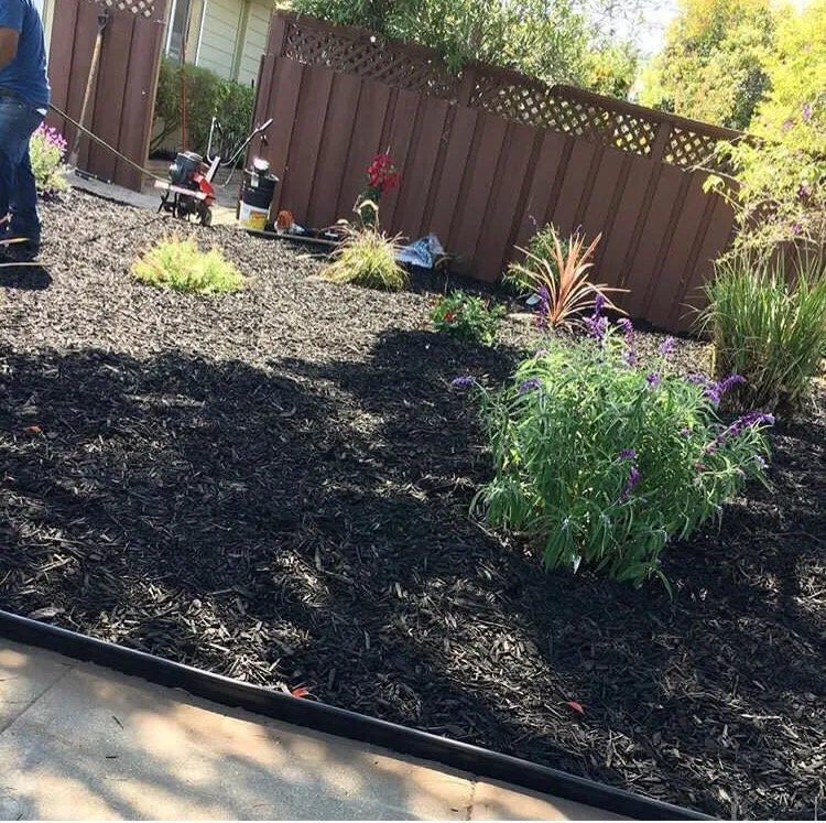 Trusted lawn care service for year-round maintenance across Oakland, CA - Manny's Landscaping