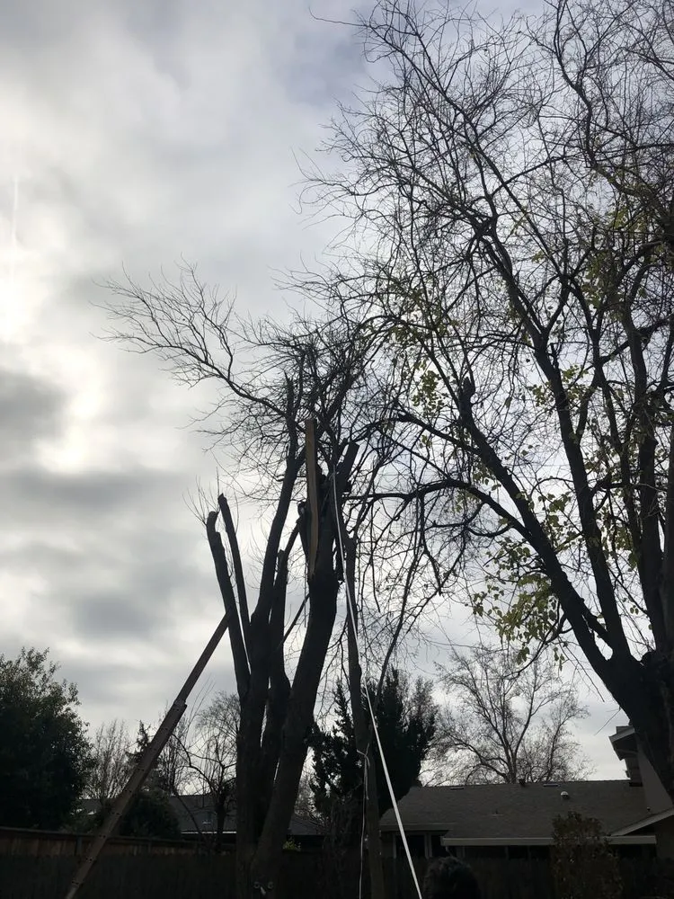 Custom landscape installation experts serving Sacramento, CA - Manny's Landscaping