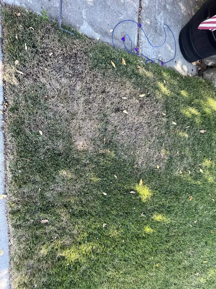 Trusted landscape design experts serving Sacramento, CA - Manny's Landscaping