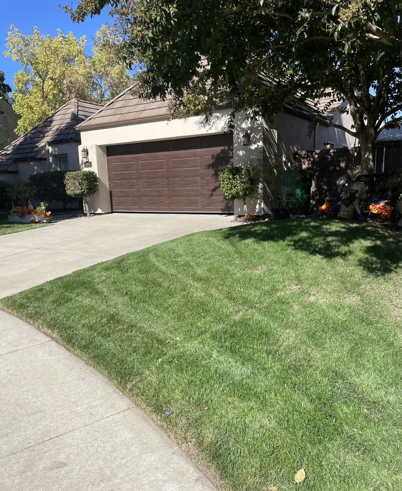 Local landscape design with custom design in Sacramento, CA by Manny's Landscaping