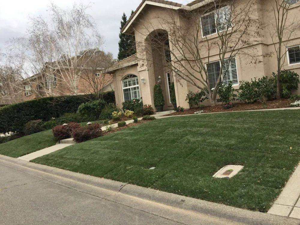 Reliable lawn mowing service for year-round maintenance in Sacramento, CA by Manny's Landscaping