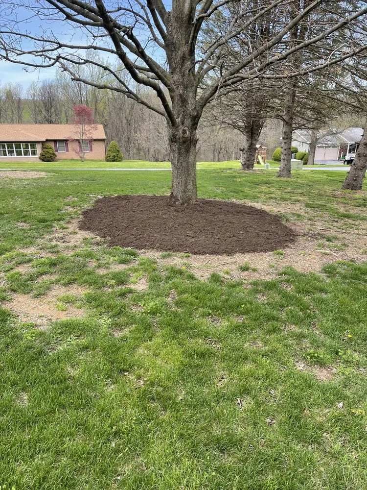 Reliable garden landscaping experts serving Steelton, PA - Manny’s Landscaping