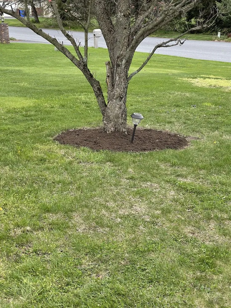 Affordable garden landscaping for year-round maintenance across Steelton, PA - Manny’s Landscaping