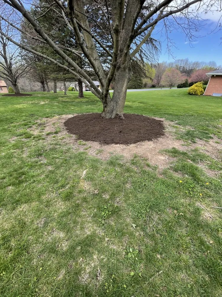 Trusted landscaping services for residential properties in Steelton, PA by Manny’s Landscaping