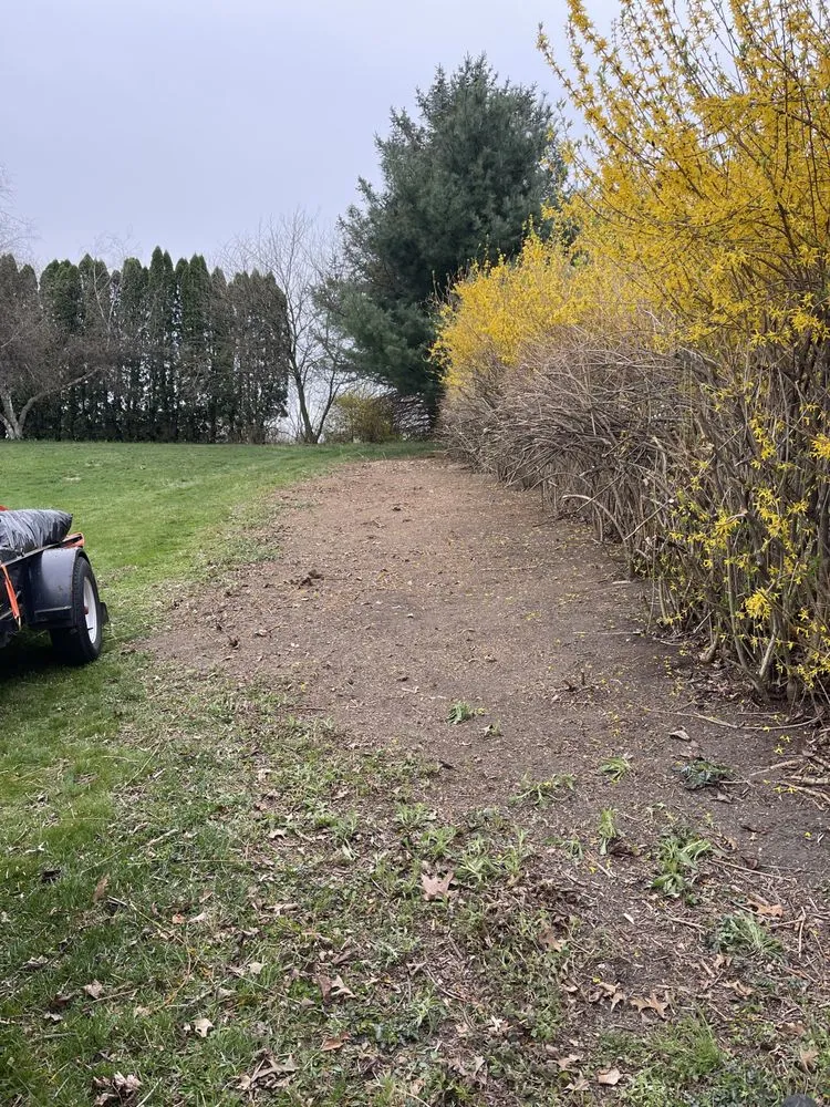 Top-rated yard cleanup service in Steelton, PA - Manny’s Landscaping