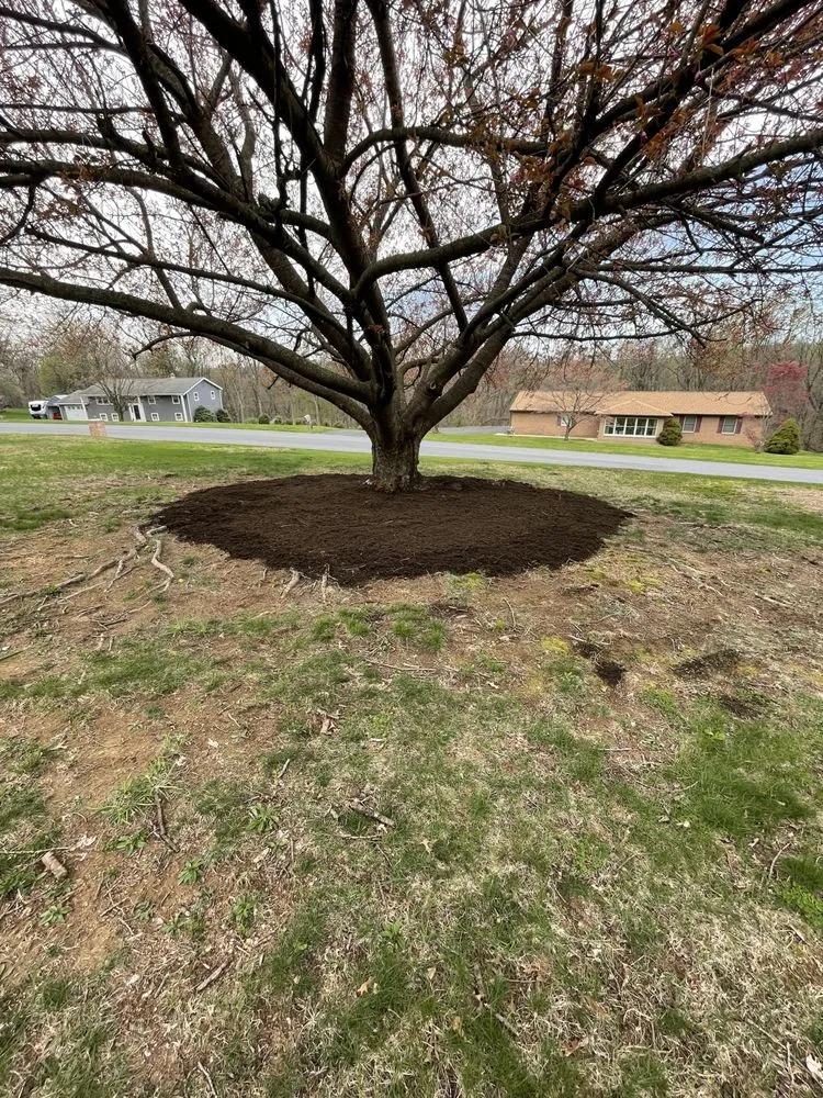 Professional lawn care service in Steelton, PA - Manny’s Landscaping