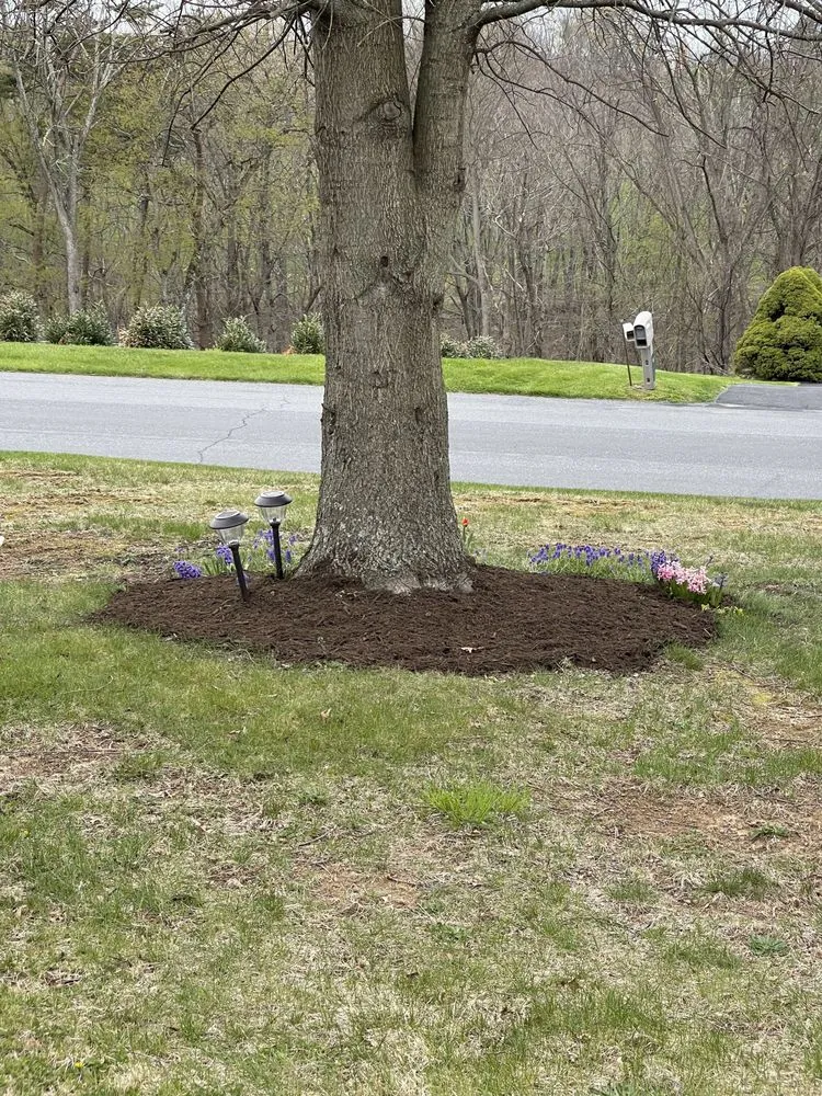 Trusted landscape design with custom design across Steelton, PA - Manny’s Landscaping