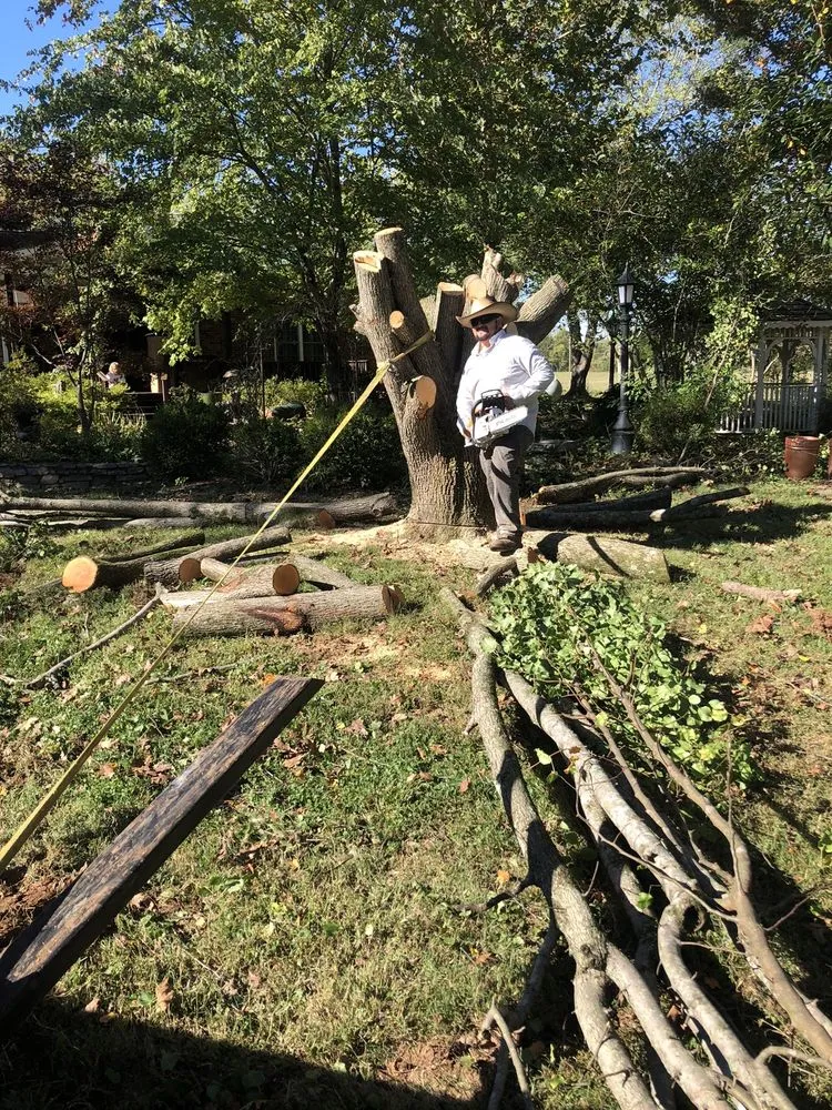 Top-rated yard cleanup service for residential properties in Franklin, TN by Mannys Landskaping