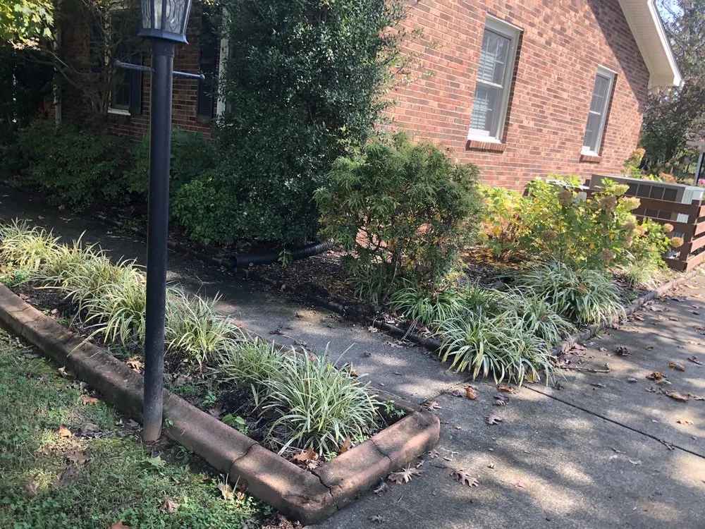 Expert yard cleanup service in Franklin, TN - Mannys Landskaping