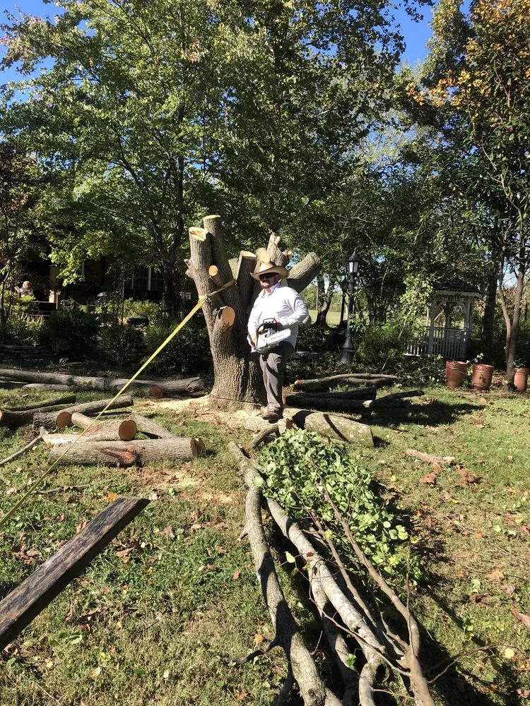 Affordable residential landscaping in Franklin, TN - Mannys Landskaping