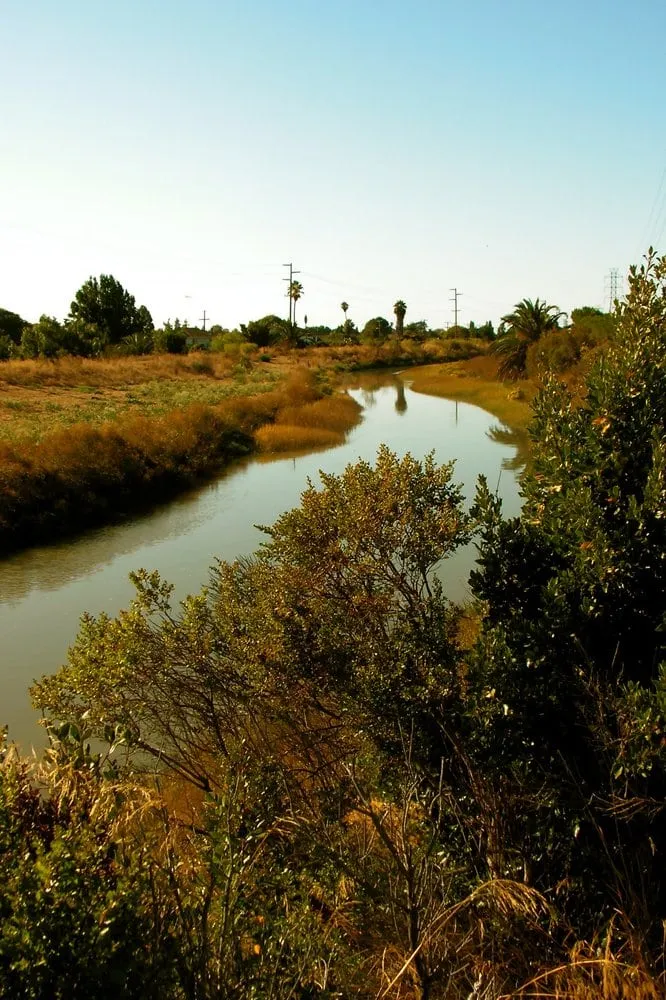 Custom landscape design in Franklin, TN by Mannys Landskaping