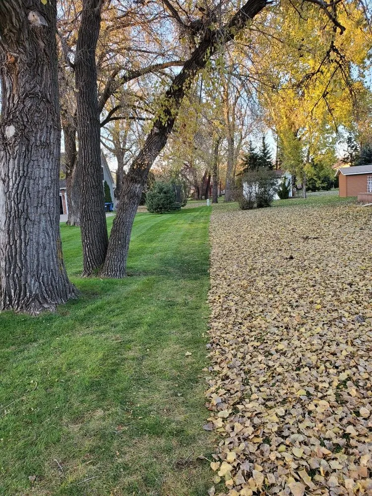 Custom landscaping services for residential properties across Fargo, ND - Manny's Lawn & Snow