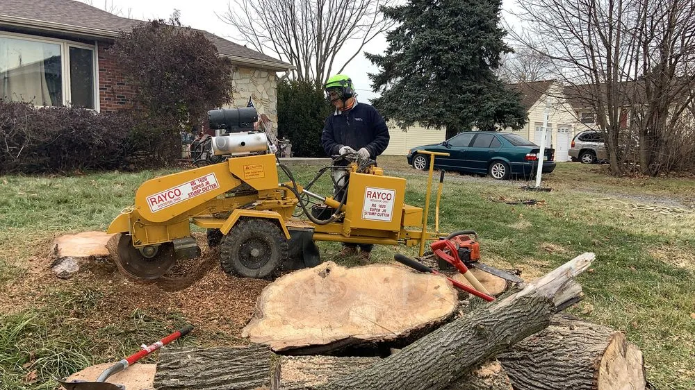 Custom residential landscaping in Allentown, PA by Manny's lawn & tree service