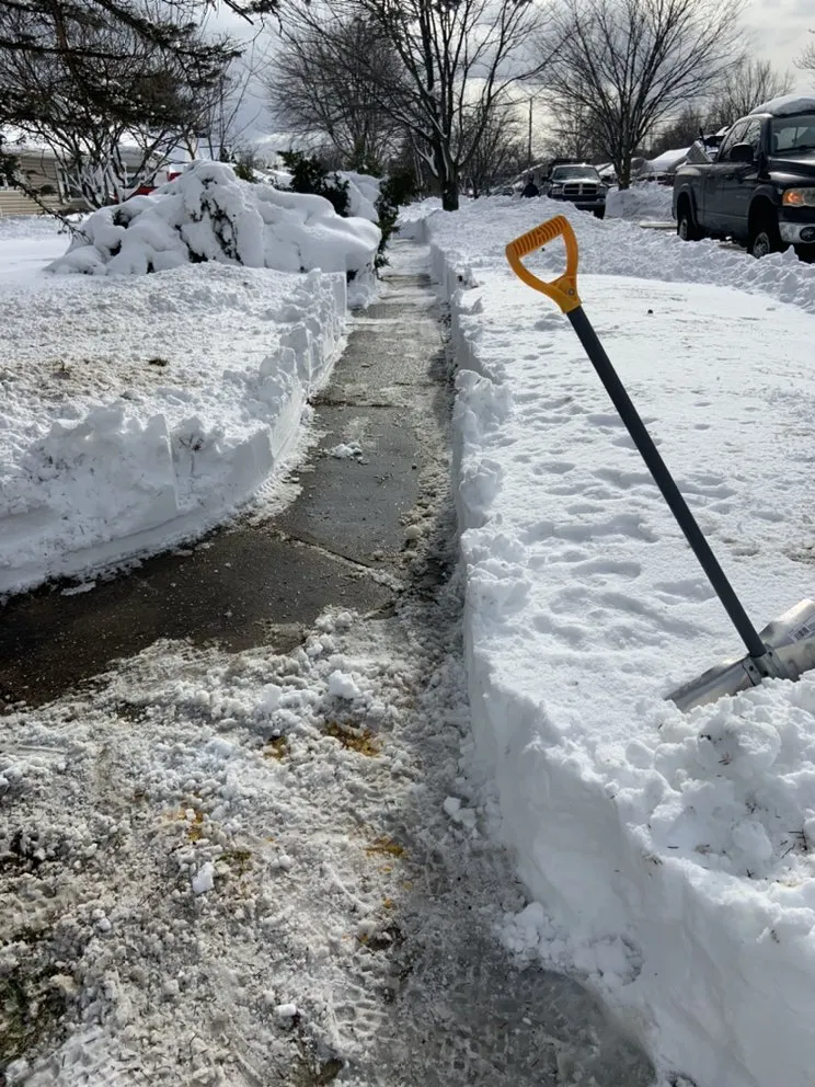 Custom lawn mowing service for beautiful yards across Allentown, PA - Manny's lawn & tree service