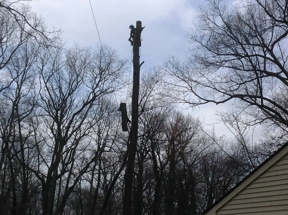 Custom yard cleanup service experts serving Allentown, PA - Manny's lawn & tree service