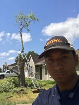Manny’s Lawn care & Tree services Logo