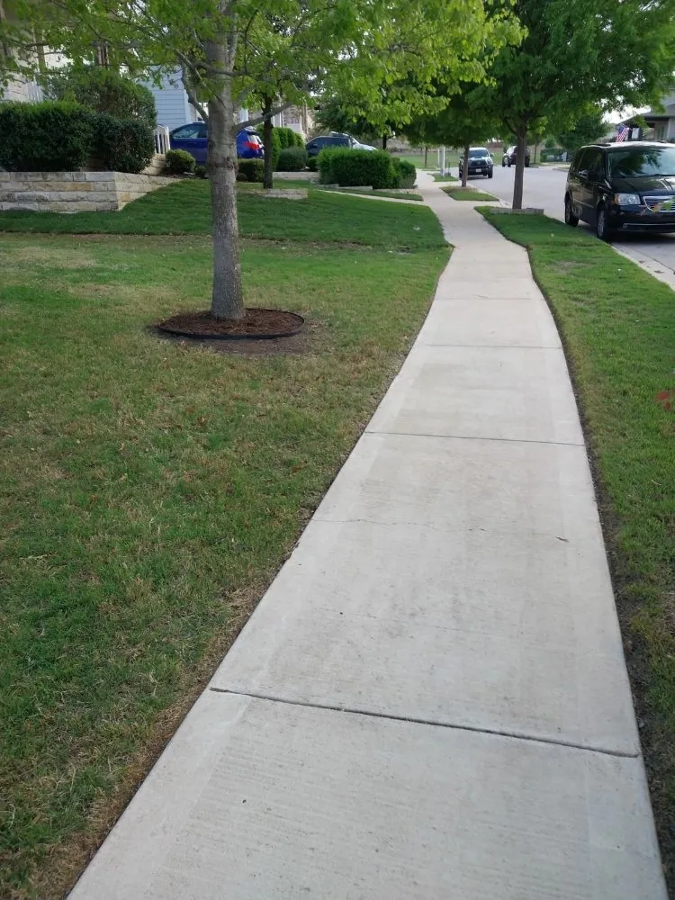 Top-rated yard cleanup service in Cedar Park, TX by Manny's Lawn Care Service