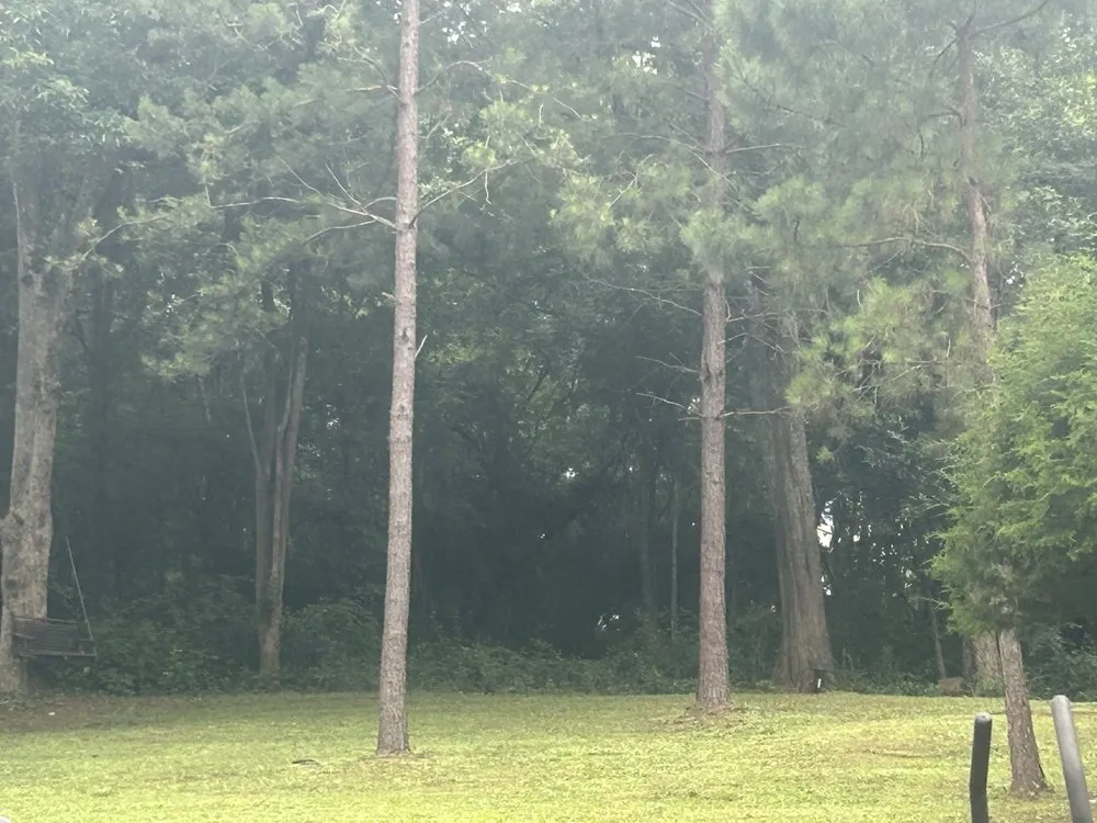 Custom lawn care service experts serving Hogansville, GA - Manny's Lawncare