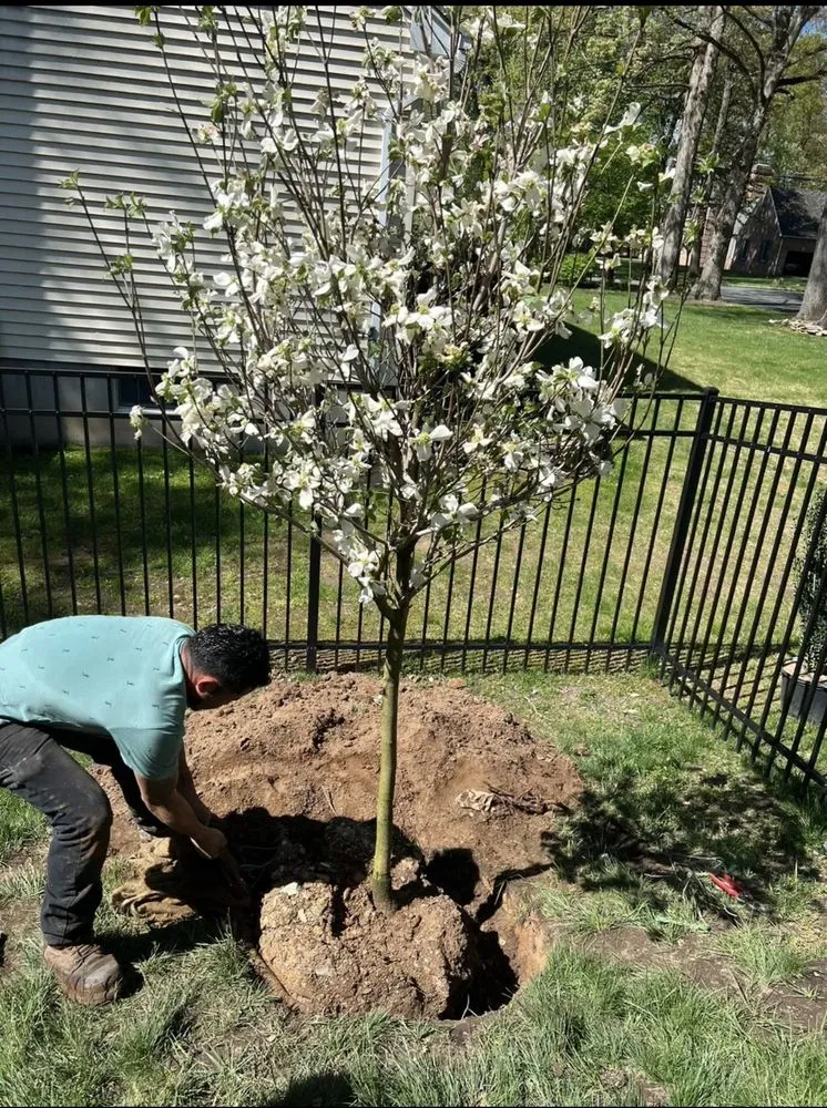 Professional landscape installation in Rockaway, NJ by Mannys Magic Hands