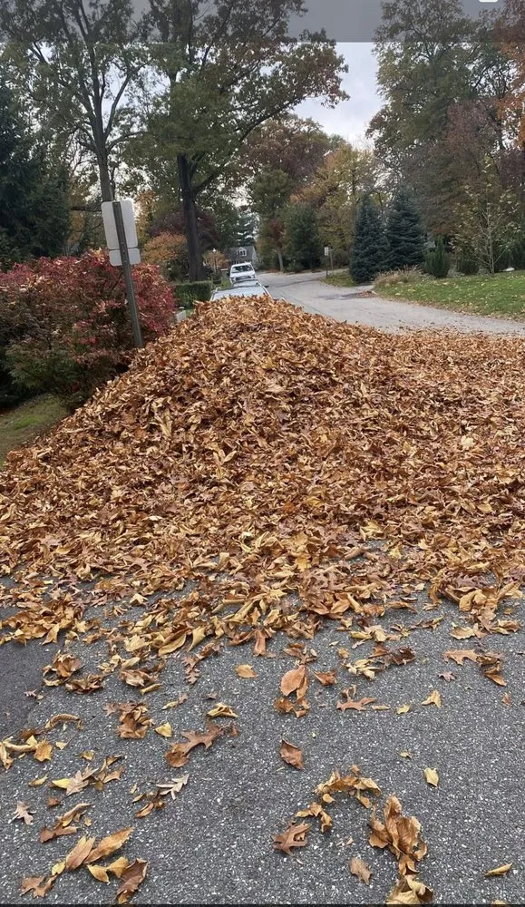 Custom yard cleanup service with custom design across Rockaway, NJ - Mannys Magic Hands