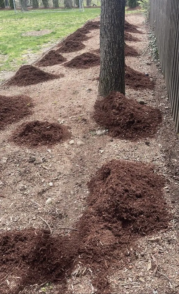 Top-rated landscape installation for beautiful yards across Rockaway, NJ - Mannys Magic Hands