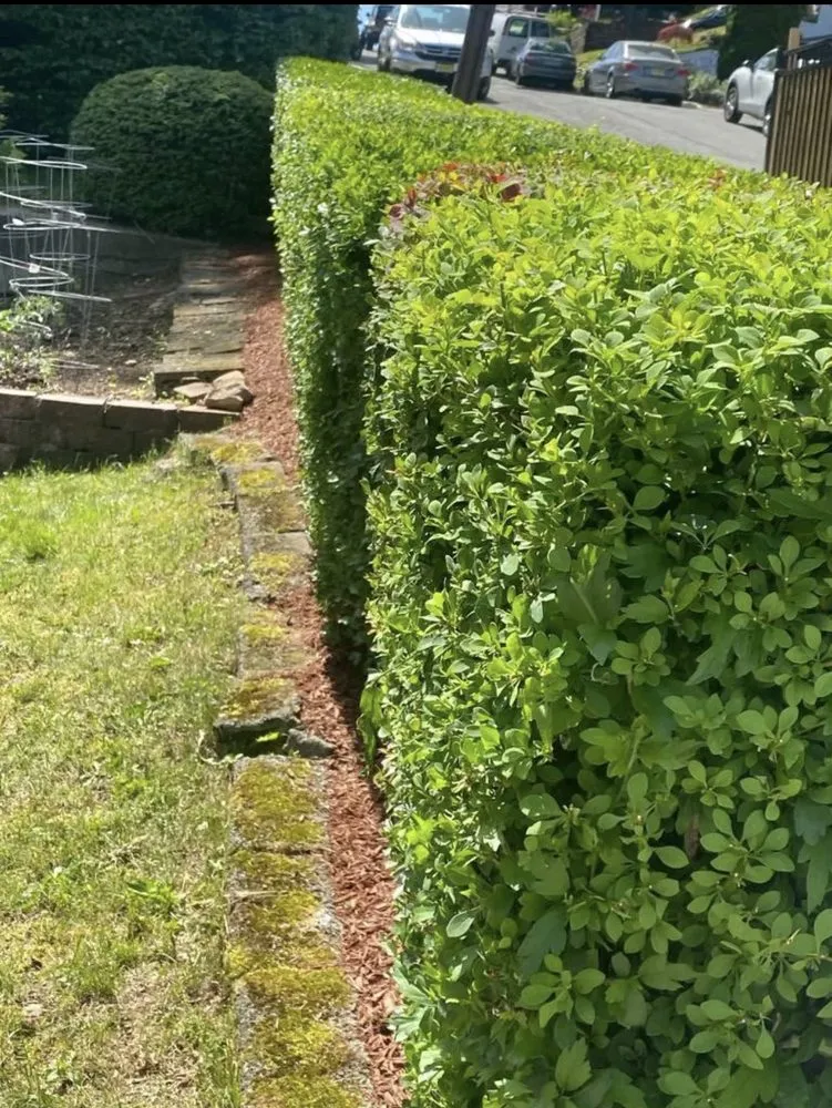 Expert lawn care service for year-round maintenance in Rockaway, NJ by Mannys Magic Hands