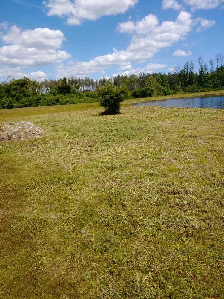 Reliable yard maintenance experts serving Quincy, FL - Manny's mowing service