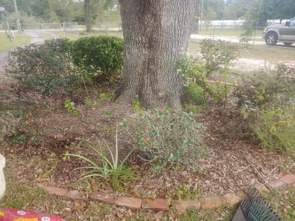 Local outdoor landscaping in Quincy, FL - Manny's mowing service