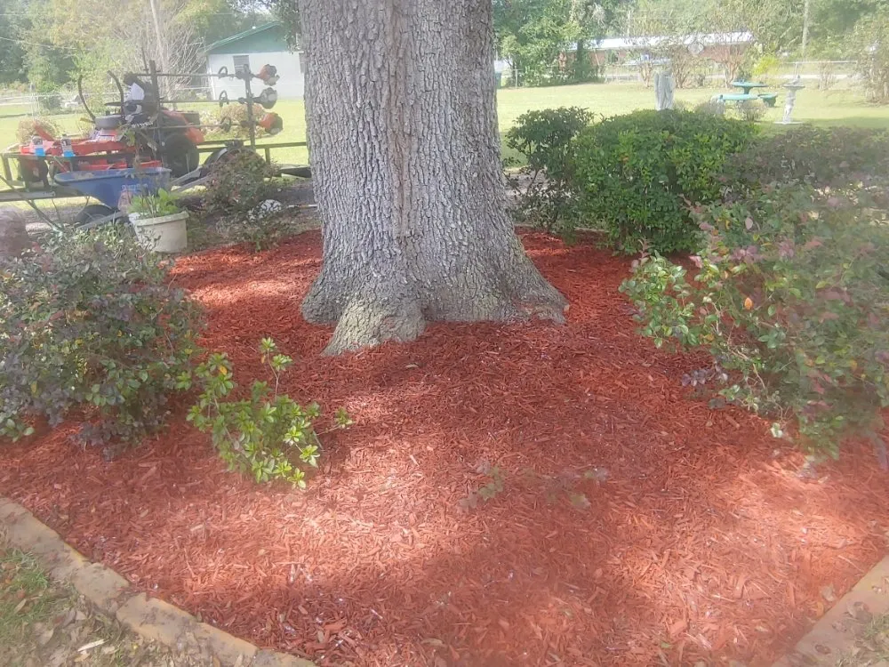 Affordable lawn mowing service for residential properties in Quincy, FL by Manny's mowing service