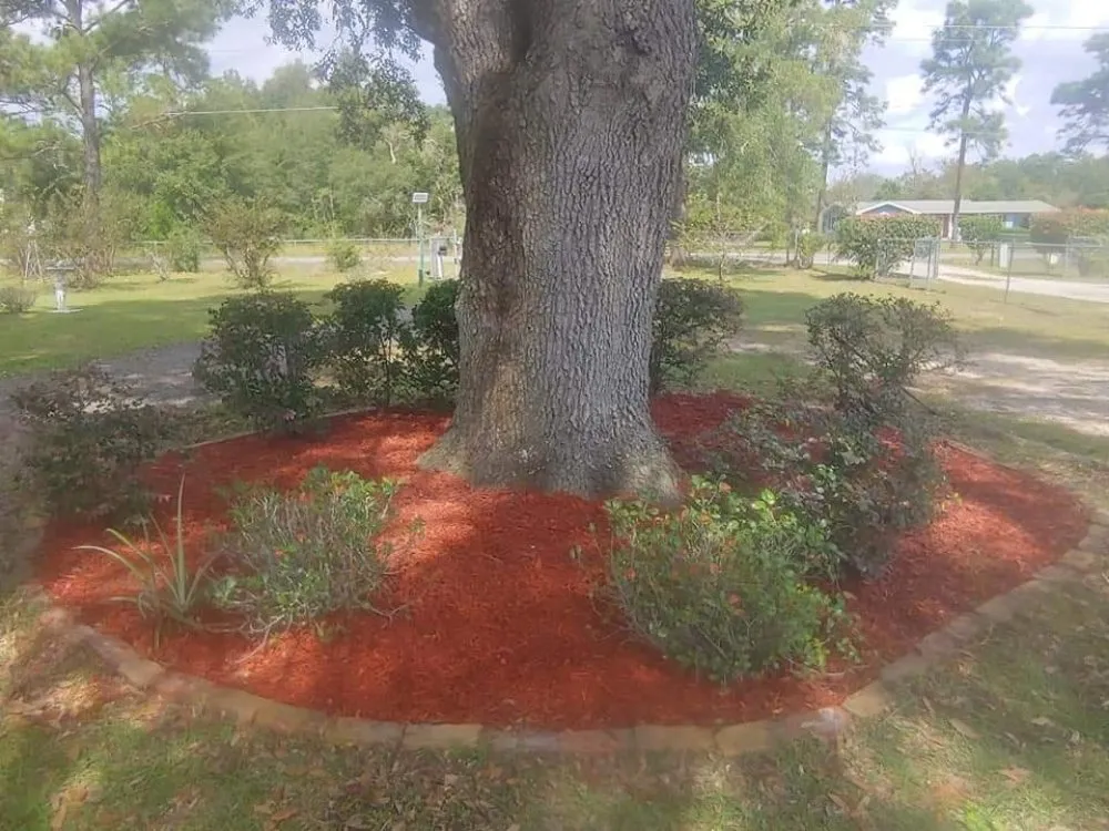 Top-rated landscaping services in Quincy, FL - Manny's mowing service
