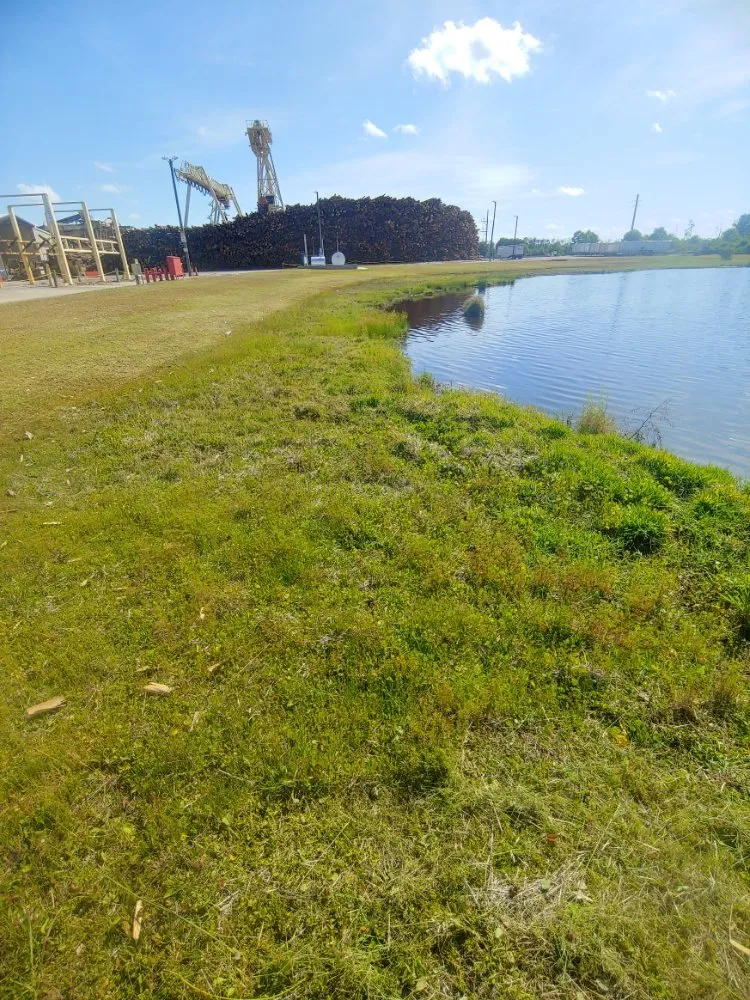 Affordable garden landscaping in Quincy, FL - Manny's mowing service