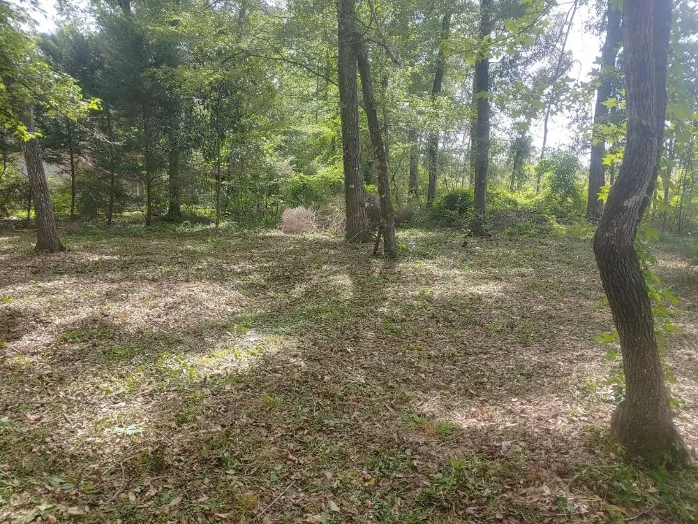 Local landscaping services for outdoor upgrades in Quincy, FL by Manny's mowing service