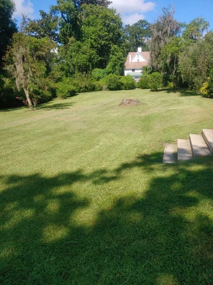 Local yard maintenance for outdoor upgrades across Quincy, FL - Manny's mowing service