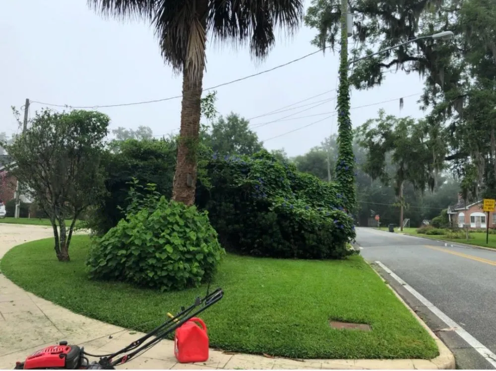 Top-rated garden landscaping experts serving Quincy, FL - Manny's mowing service