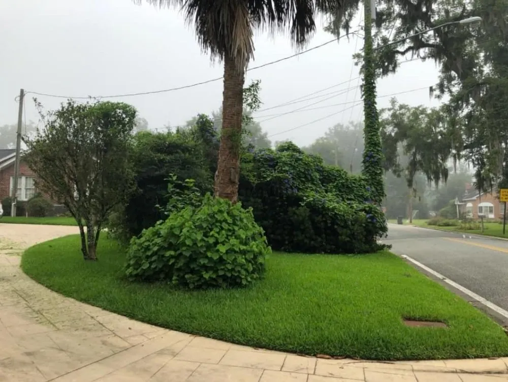 Professional residential landscaping in Quincy, FL by Manny's mowing service