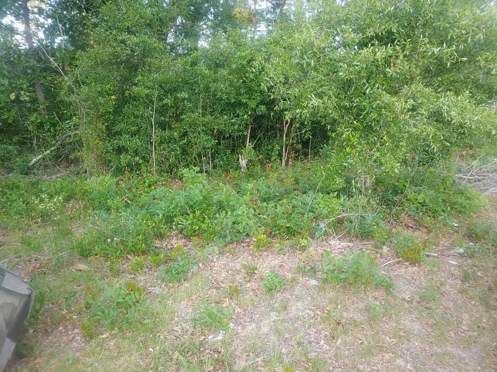 Trusted landscape design experts serving Quincy, FL - Manny's mowing service