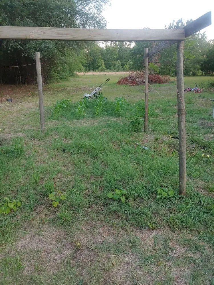 Affordable lawn mowing service for beautiful yards across Quincy, FL - Manny's mowing service