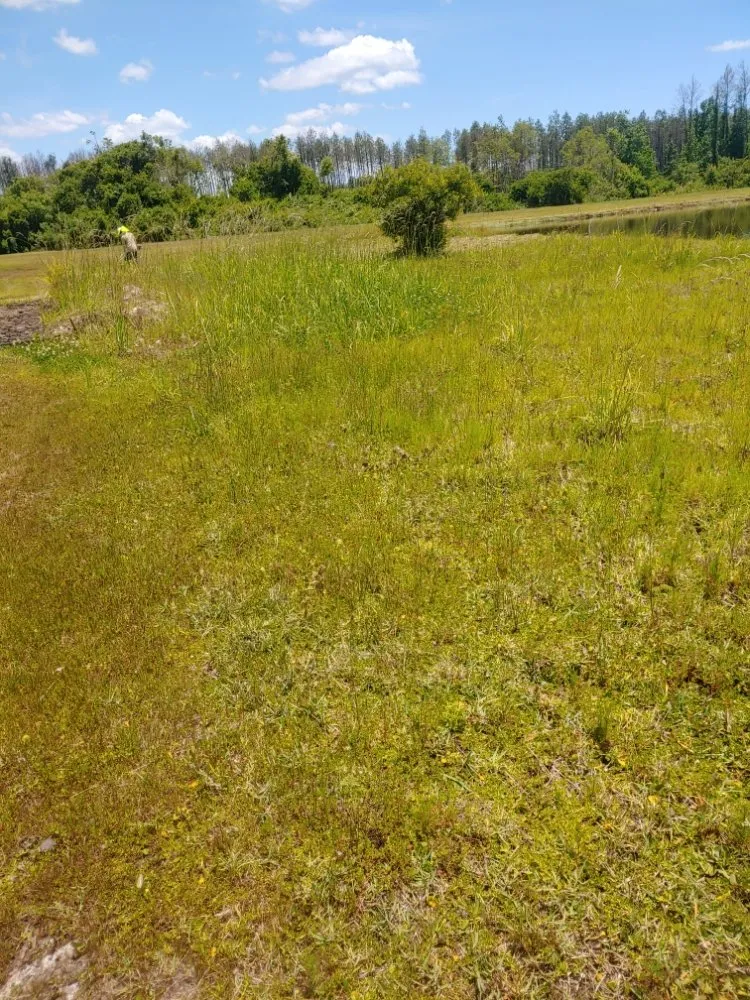 Expert outdoor landscaping in Quincy, FL - Manny's mowing service